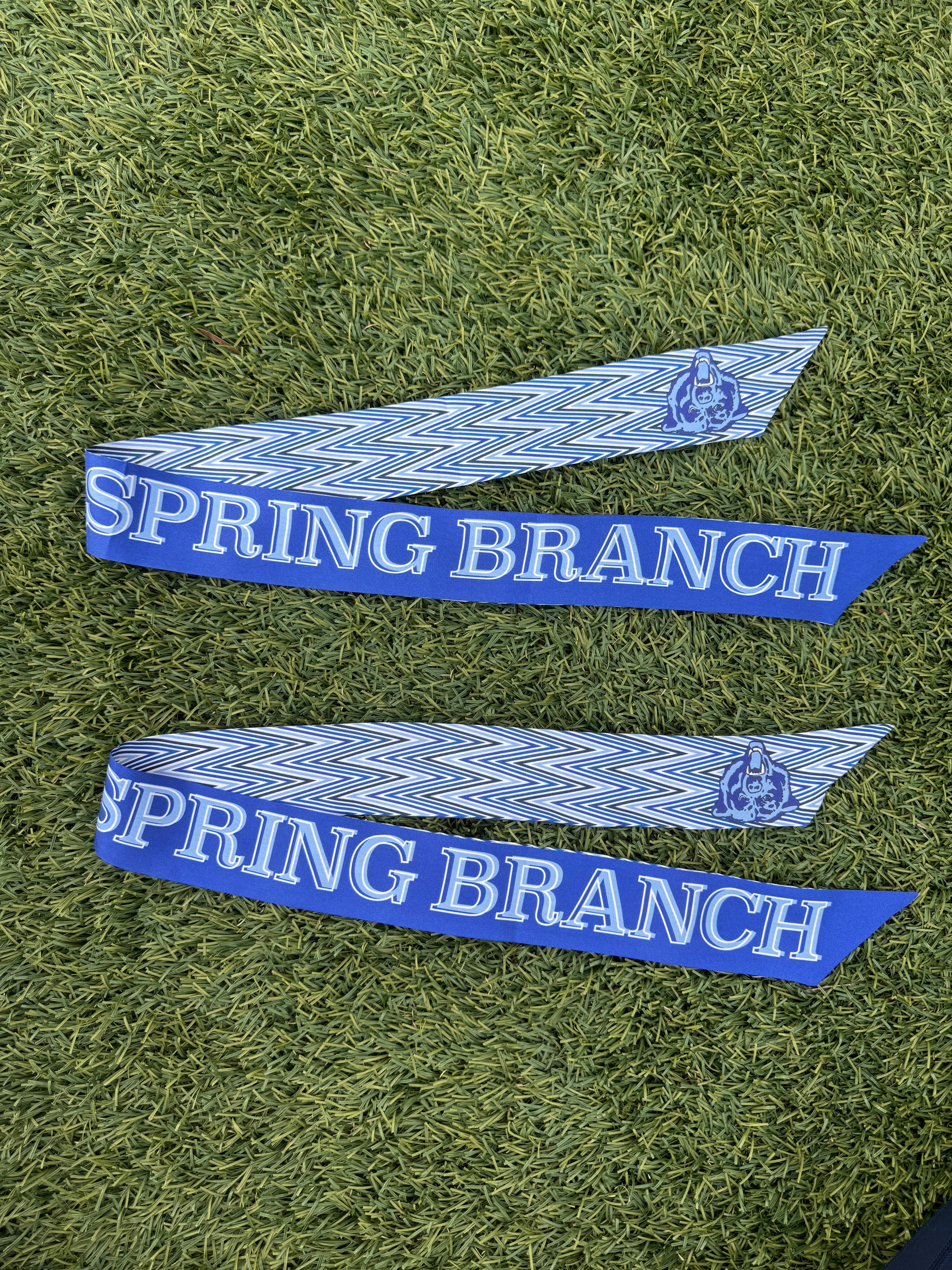 Spring Branch Middle Bears Twilly