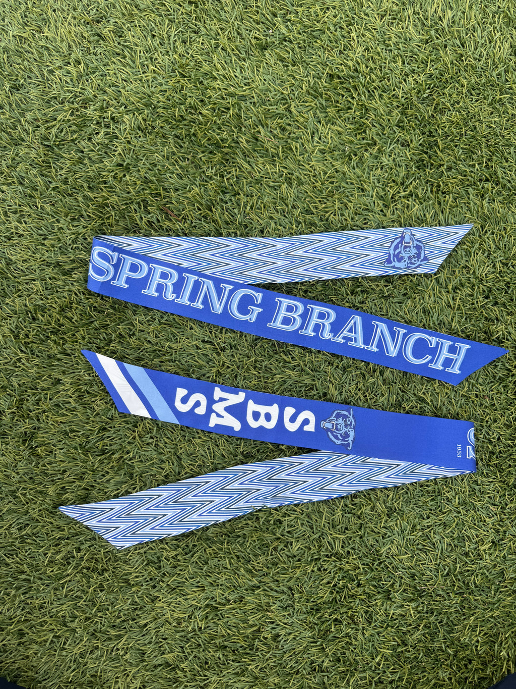 Spring Branch Middle Bears Twilly