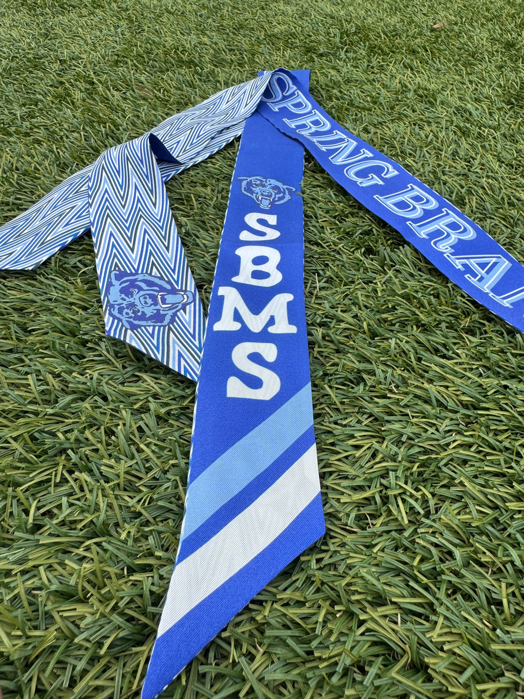 Spring Branch Middle Bears Twilly