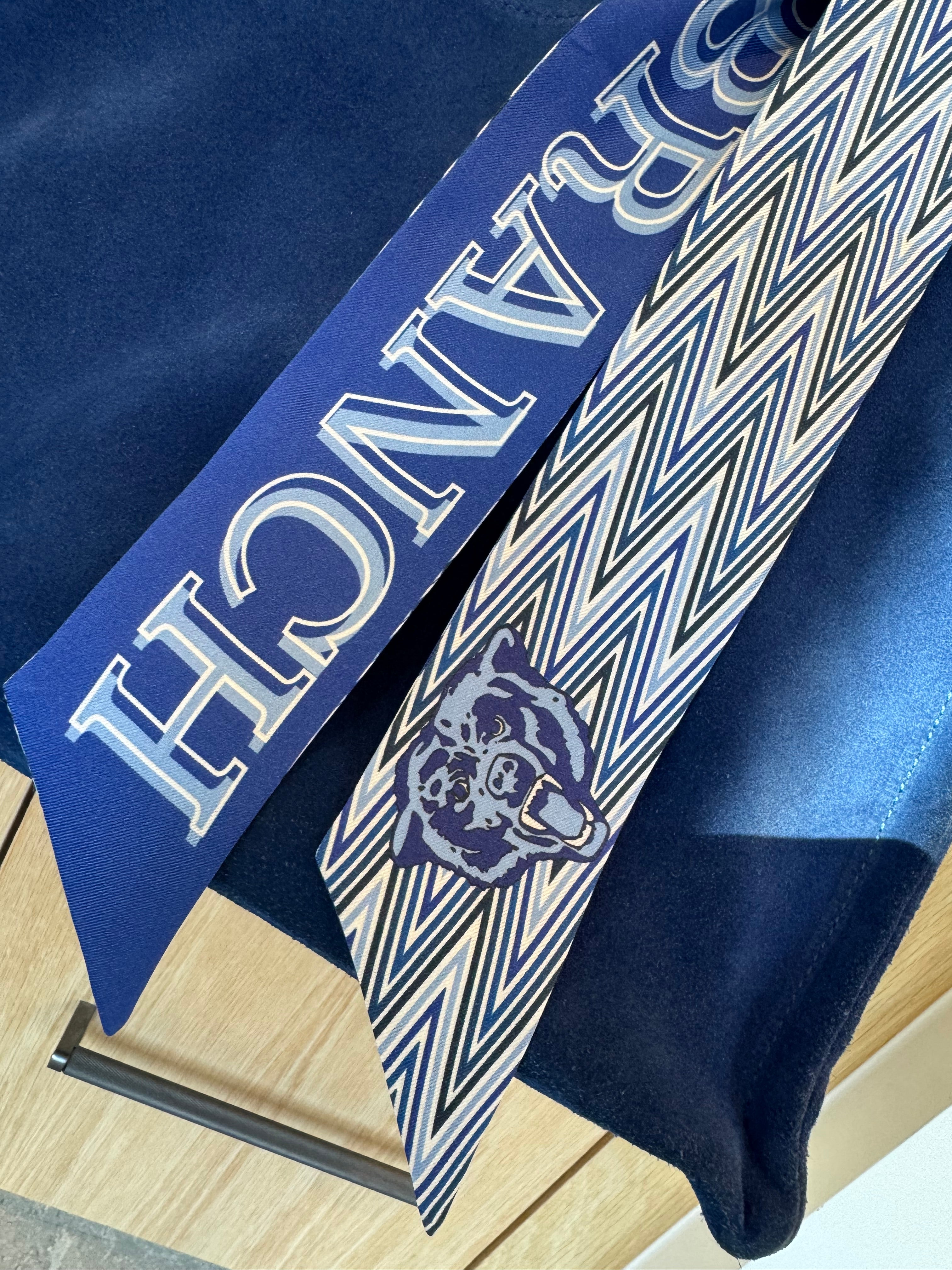 Spring Branch Middle Bears Twilly